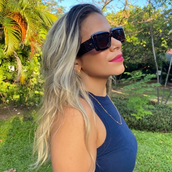 SUN 2511 - Imagem 2