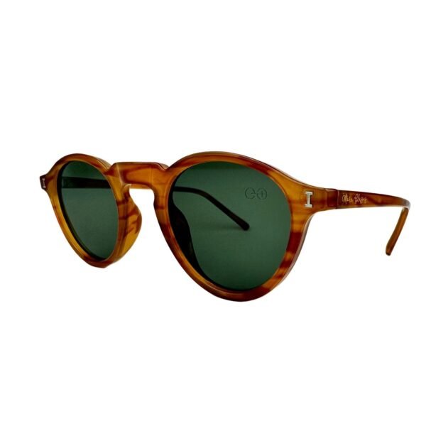 SUN 4206 - Imagem 7