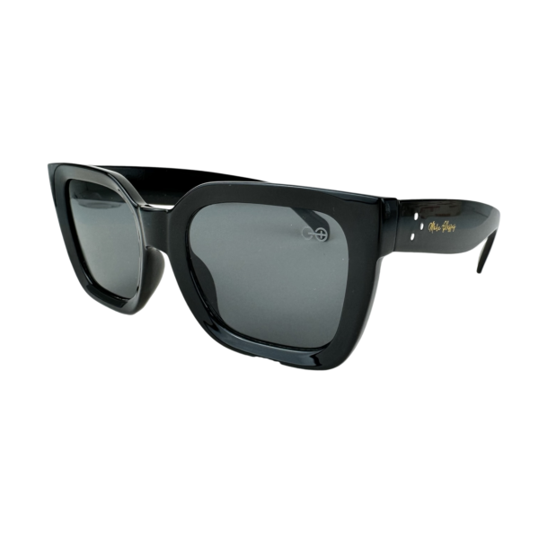 SUN 6003 - Imagem 3