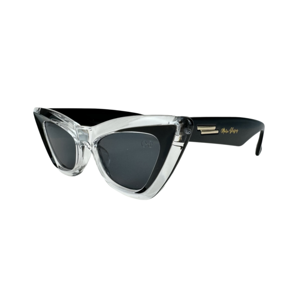 SUN 6007 - Imagem 5