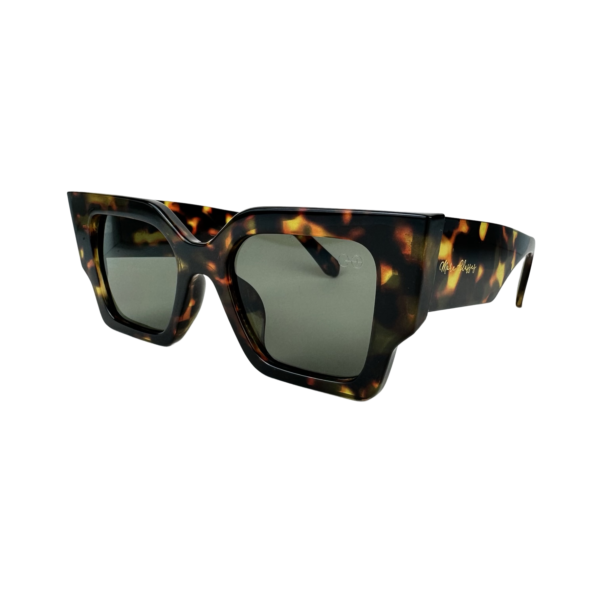 SUN 6001 - Imagem 5