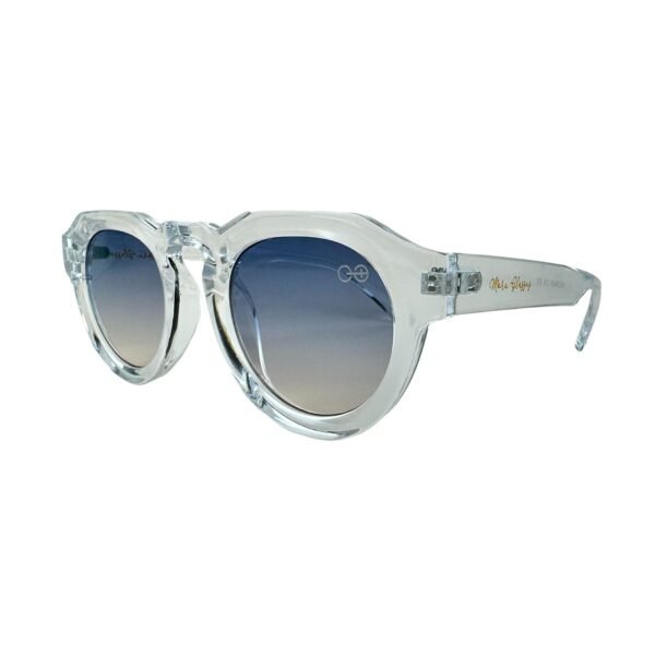 SUN 4491 - Imagem 5